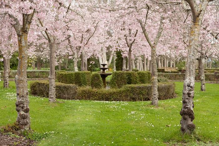 Highden Manor Estate Hotel Palmerston North Ngoại thất bức ảnh